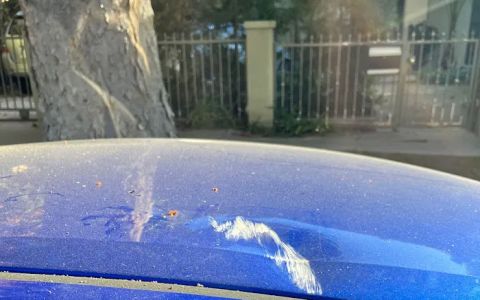 honda of santa monica service