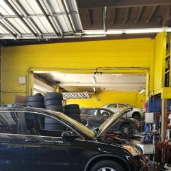 Palmer Tire & Auto Repair ico