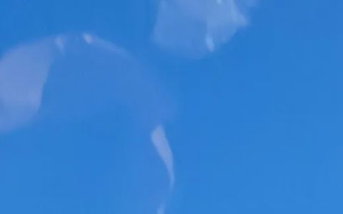 on site fleet service lakewood