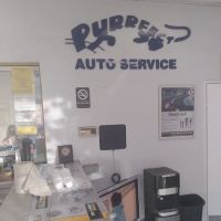 Purrfect Auto Services