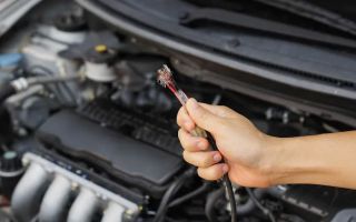 automotive instincts