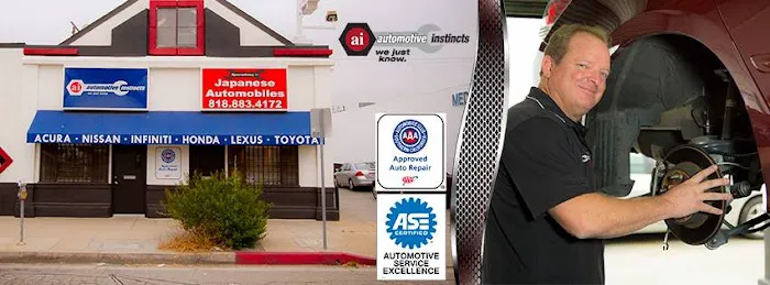 Automotive Instincts in Woodland Hills 2