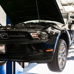 Steve's Auto Service ico