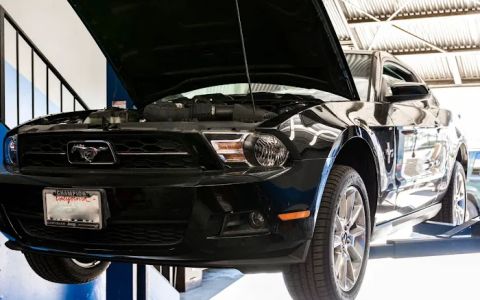 Steve's Auto Service