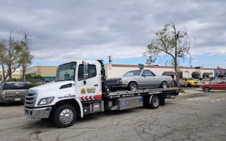 golden bear towing
