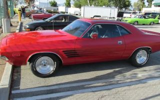 wayne and dave's automotive