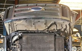 whitney auto