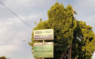 speedys auto parts