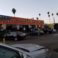 Tony’s Auto Repair