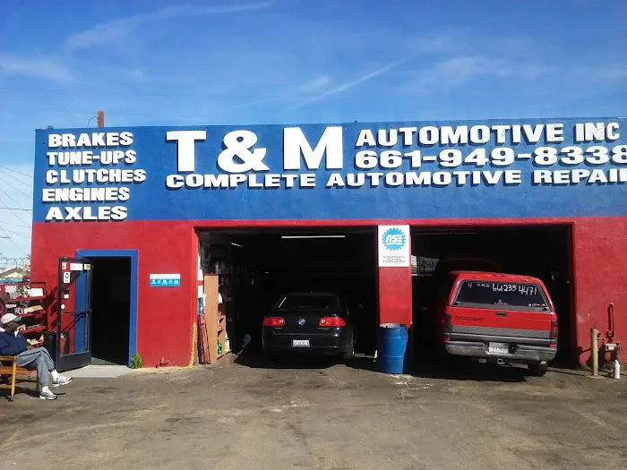 T & M AUTOMOTIVE INC. 4