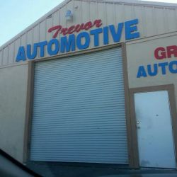 Trevor Automotive ico