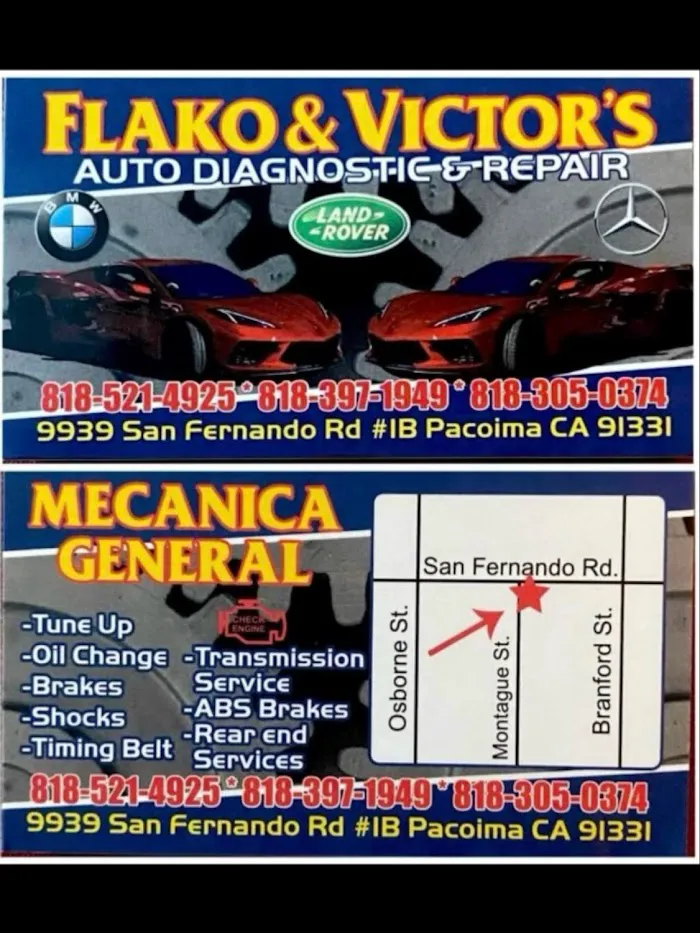 Flako & Victor Auto Diagnostic & Repair 2