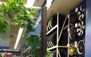 tire stores in pasadena ca
