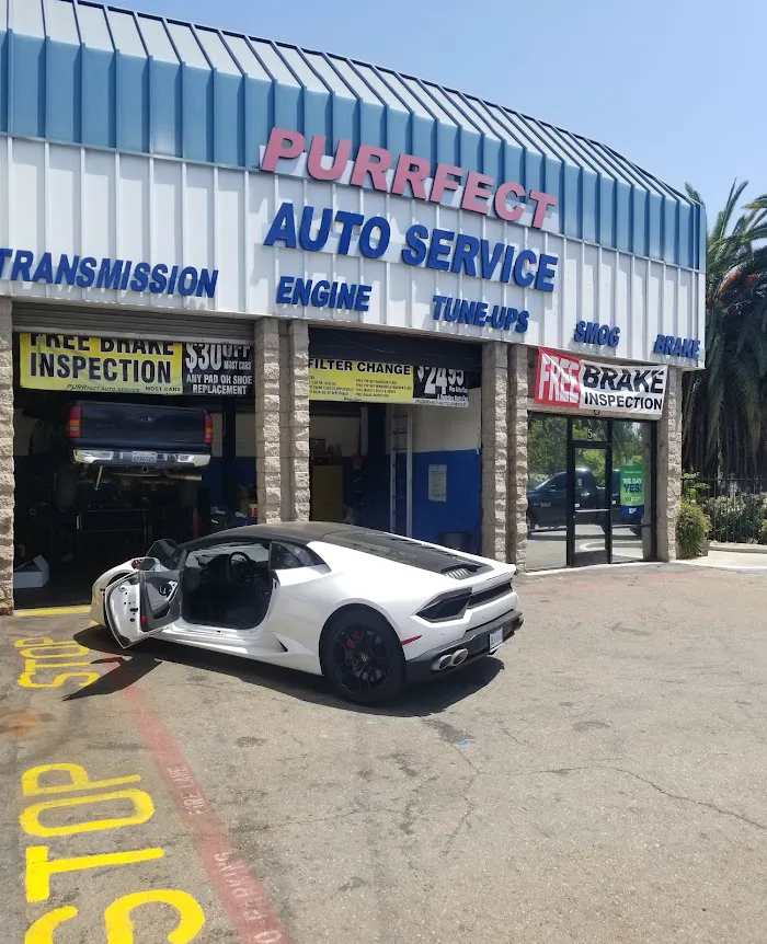 Purrfect Auto Service 9