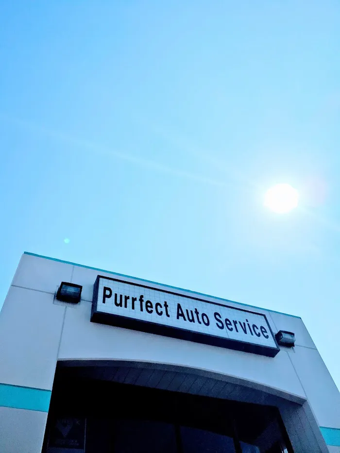 Purrfect Auto Service 0