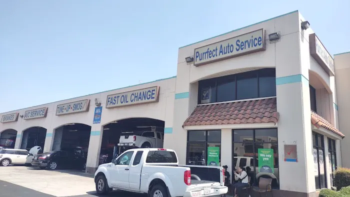 Purrfect Auto Service 7