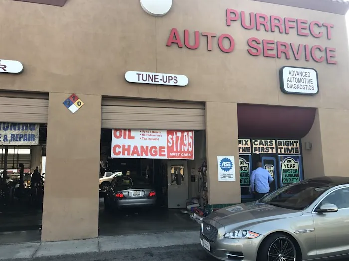 Purrfect Auto Service 4