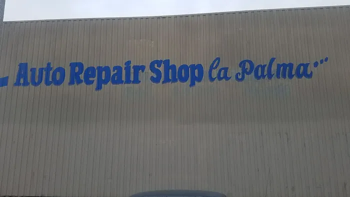 Auto Repair Shop La Palma 3