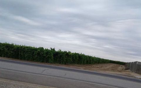 auto service guerrero