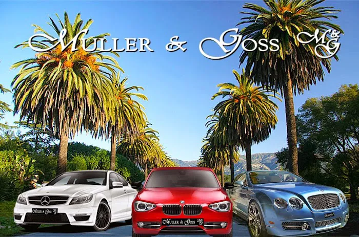 Muller and Goss Automotive repair 0