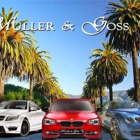 Muller and Goss Automotive repair