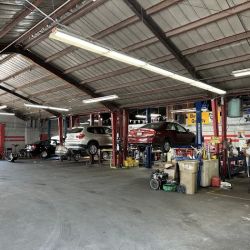 Star Tech Auto Repair ico