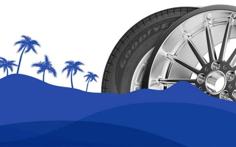 goodyear san fernando ca