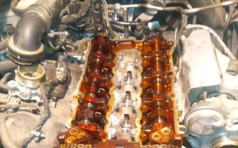 donnies mobile home service