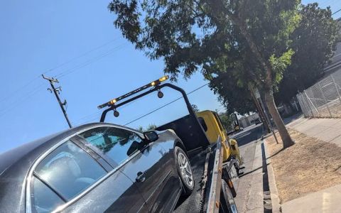 gold road towing service