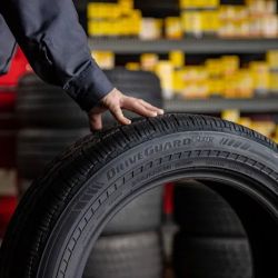 Tires Plus ico