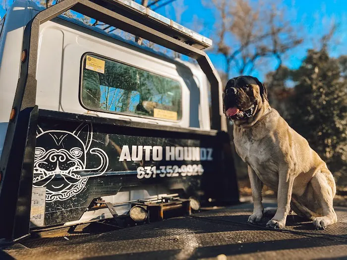 Auto Houndz 7