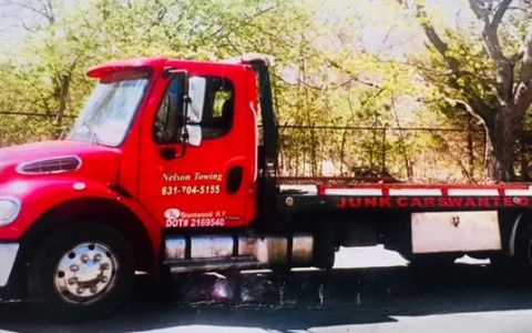 nelson towing