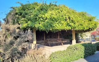 barnes auto & truck service