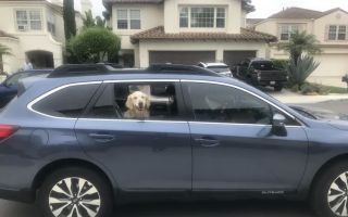 san clemente mechanic