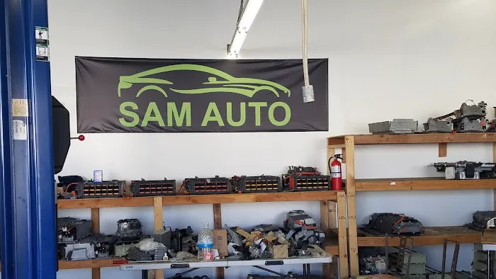 Sam Auto Hybrid 2