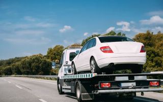 rays towing