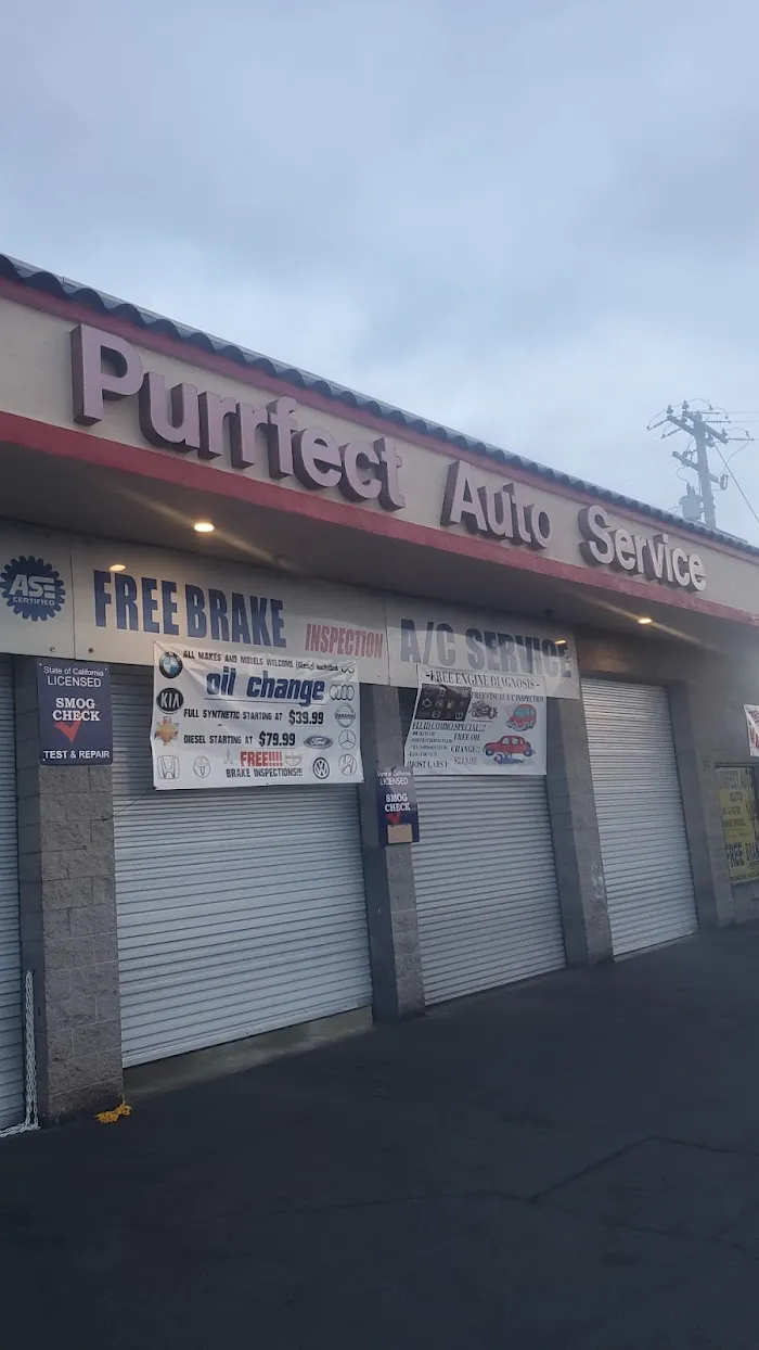 Purrfect Auto Service 4