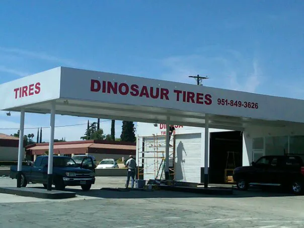 Dinosaur Tire 6