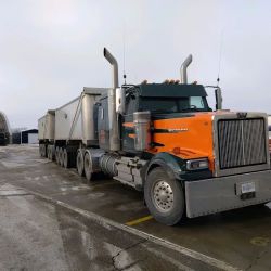 Randy's Service Station, Inc ico