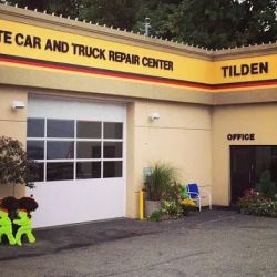 Tilden Car/Truck Care Center and EV Specialist ico