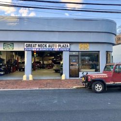 Great Neck Auto Plaza ico