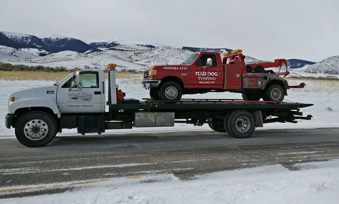 Mad Dog Towing 8