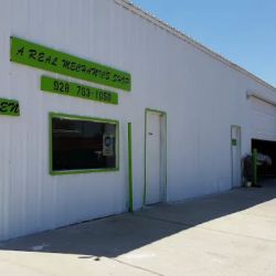 A Real Mechanic's Shop ico