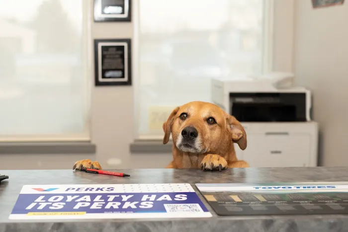 Jim Van Dyke's Automotive Center, LLC 6