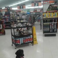 AutoZone Auto Parts