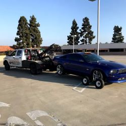 BANANA'S TOWING ico