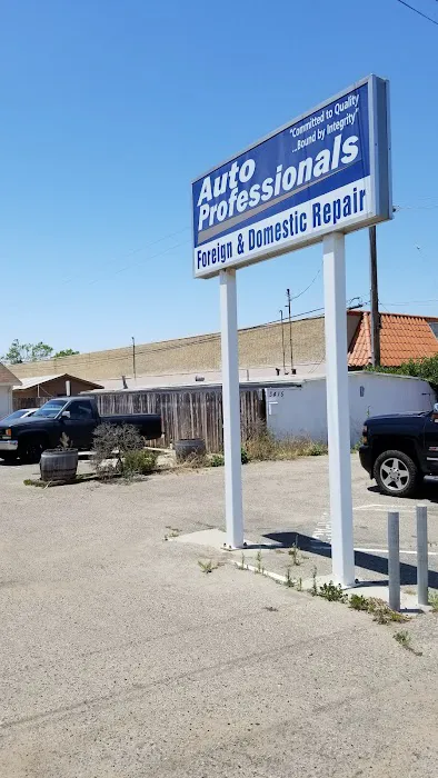 Auto Professionals 0