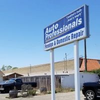 Auto Professionals