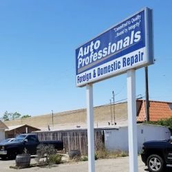 Auto Professionals ico
