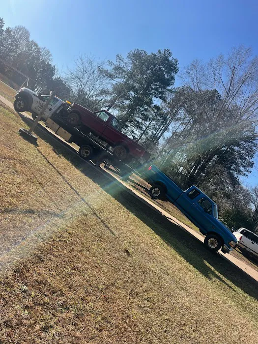 Professional Towing & Recovery 5